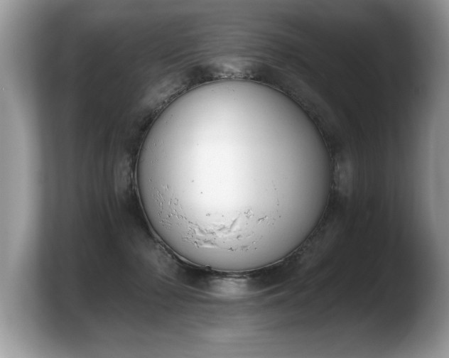 X0000103910318200809261615