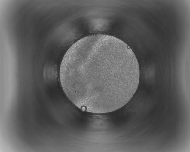 X0000103910328200809261615