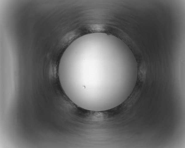 X0000103910330200809261615