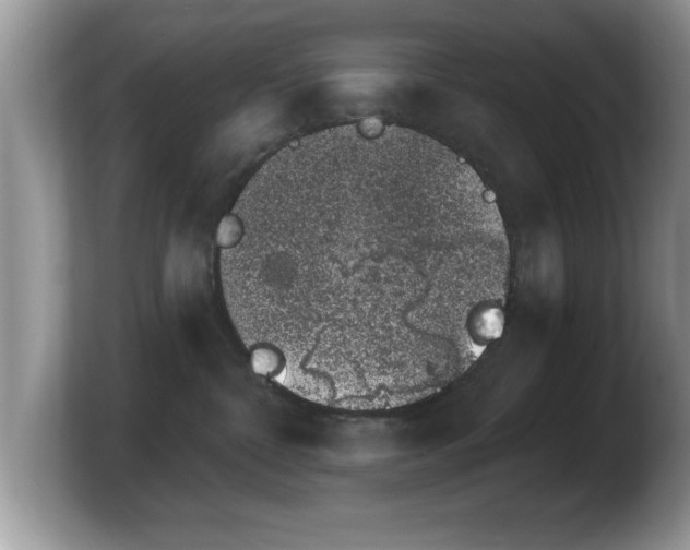 X0000103910332200809261615