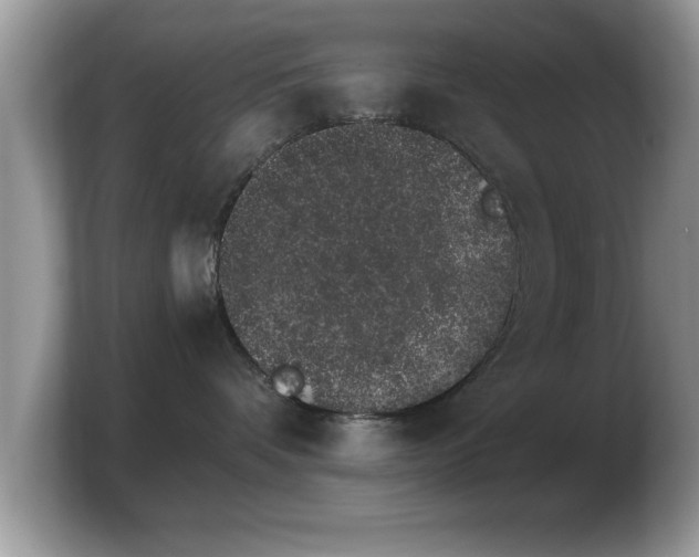 X0000103910336200809261615