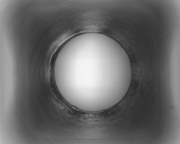 X0000103910338200809261614
