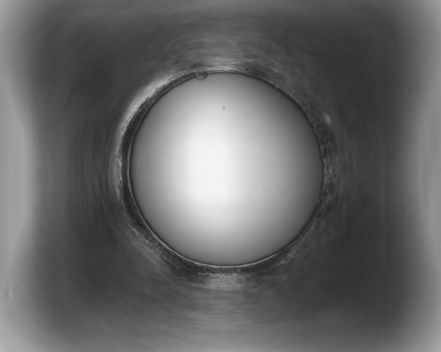 X0000103910342200809261614