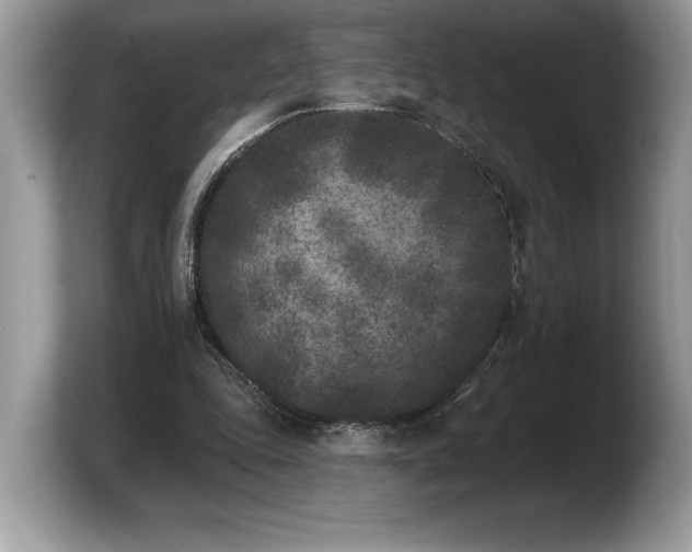 X0000103910343200809261614