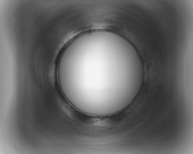 X0000103910346200809261614