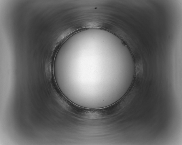 X0000103910349200809261614