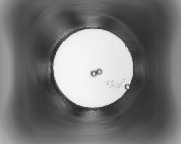 X0000103910350200809261615