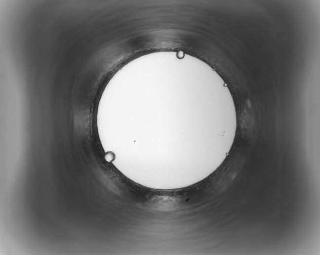 X0000103910352200809261615