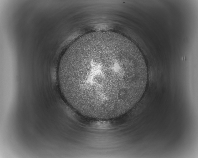 X0000103910353200809261615
