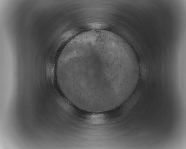 X0000103910357200809261615