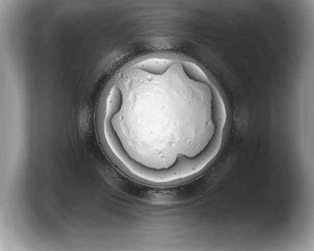 X0000103910359200809261615