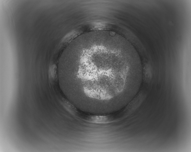 X0000103910361200809261615