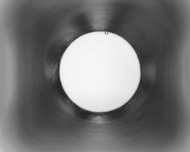 X0000103910364200809261615