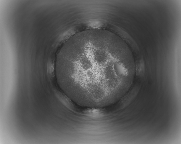 X0000103910365200809261615