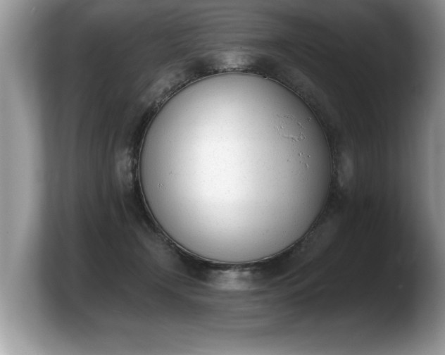 X0000103910366200809261615