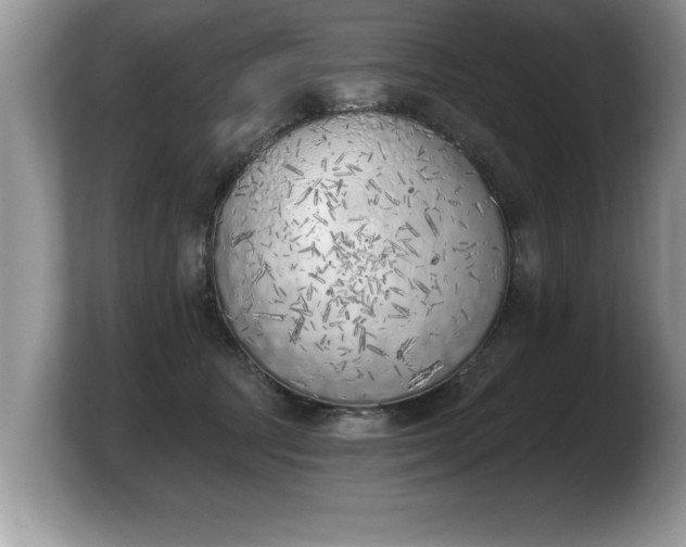 X0000103910369200809261615