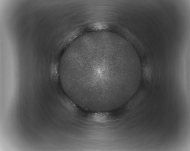 X0000103910373200809261615