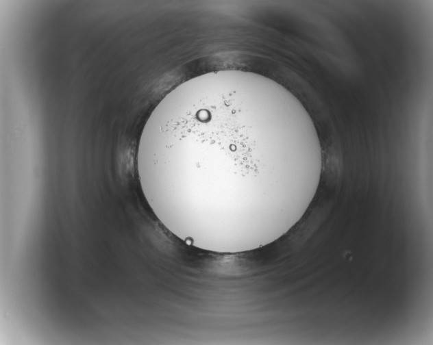 X0000103910382200809261615