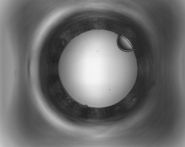 X0000103910383200809261615