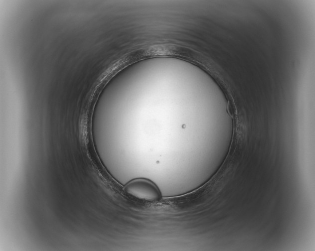 X0000103910386200809261614