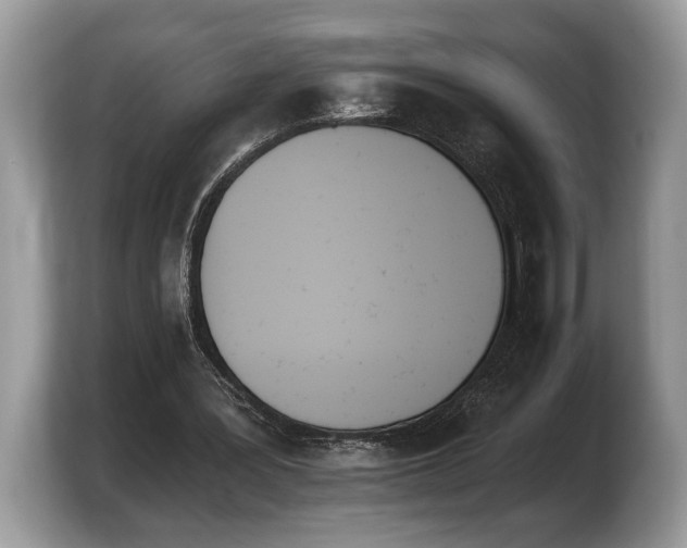 X0000103910387200809261614