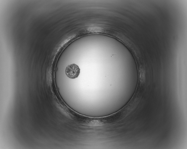 X0000103910390200809261614