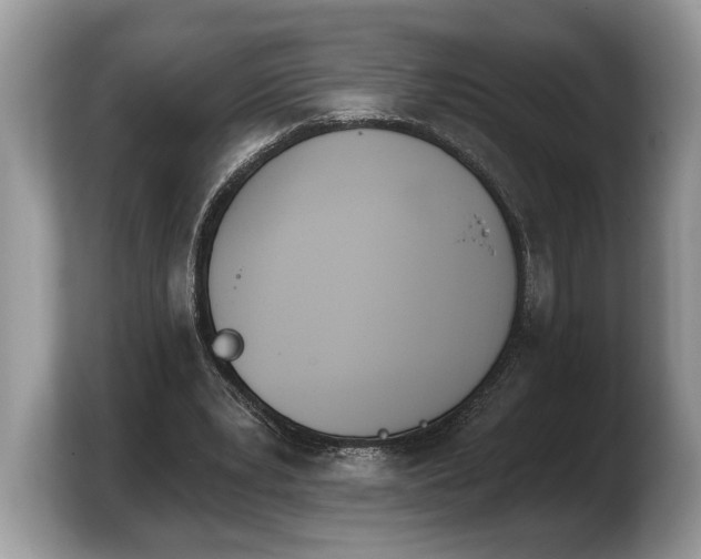 X0000103910391200809261614