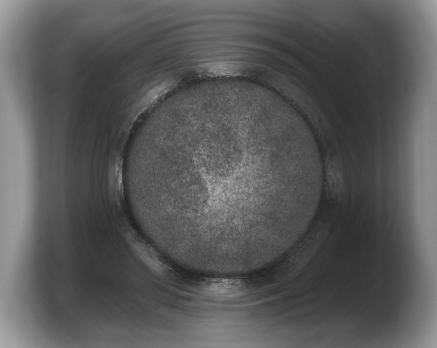X0000103910398200809261614