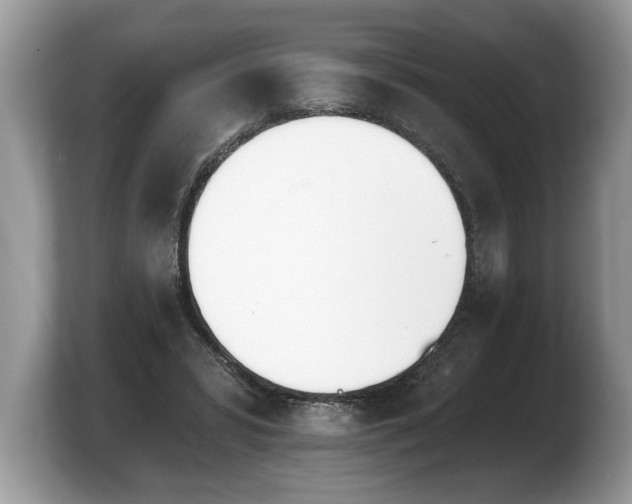 X0000103910399200809261614