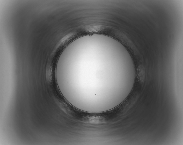 X0000103910400200809261614