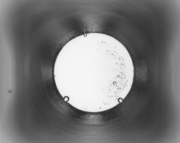 X0000103910401200809261614