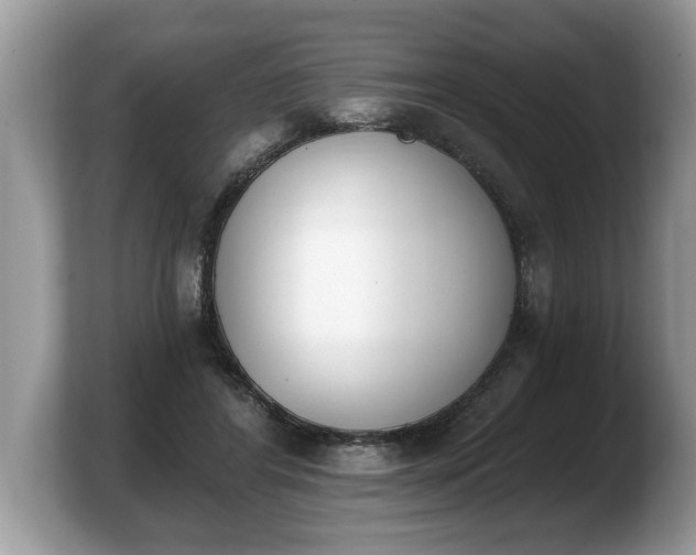 X0000103910404200809261614