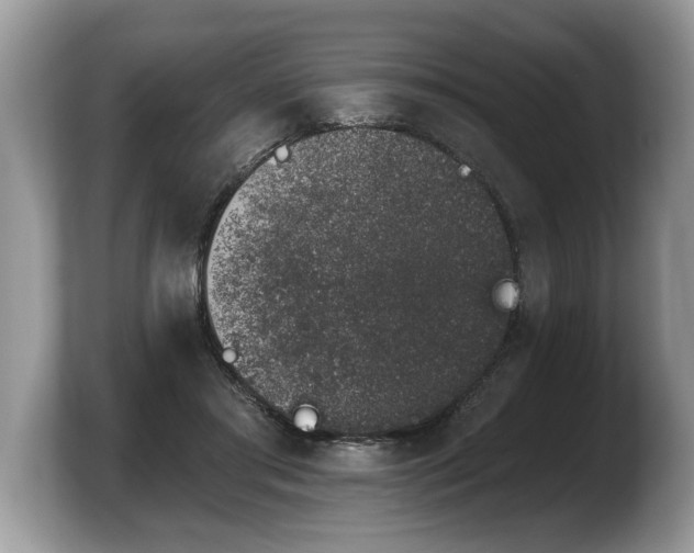 X0000103910405200809261614