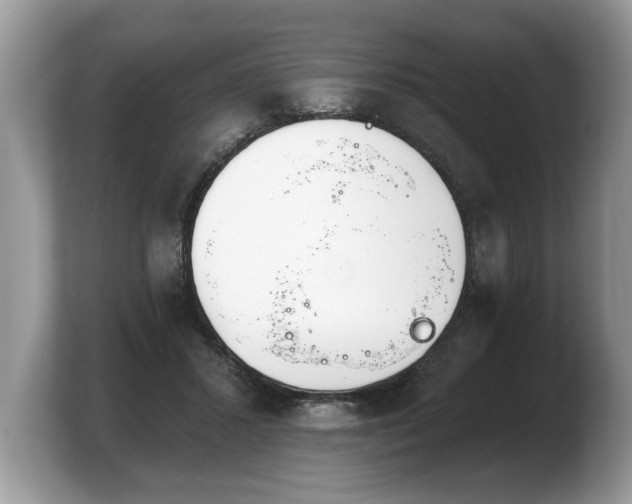 X0000103910407200809261614