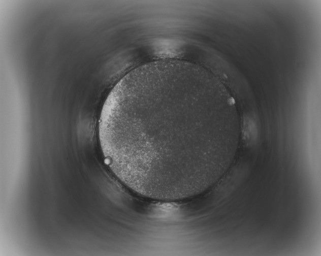 X0000103910409200809261614