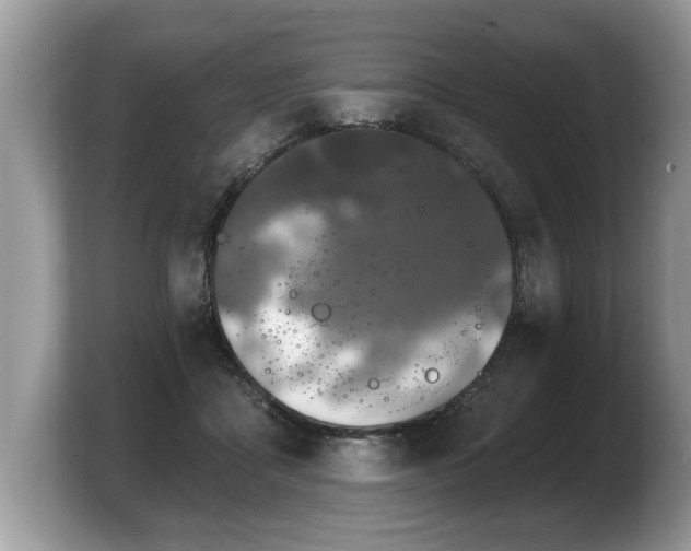 X0000103910411200809261614