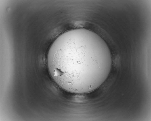 X0000103910418200809261614