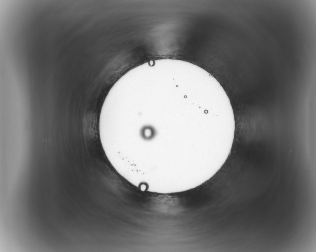 X0000103910421200809261614