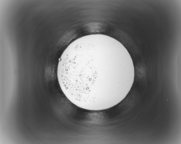 X0000103910422200809261614