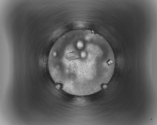 X0000103910423200809261614