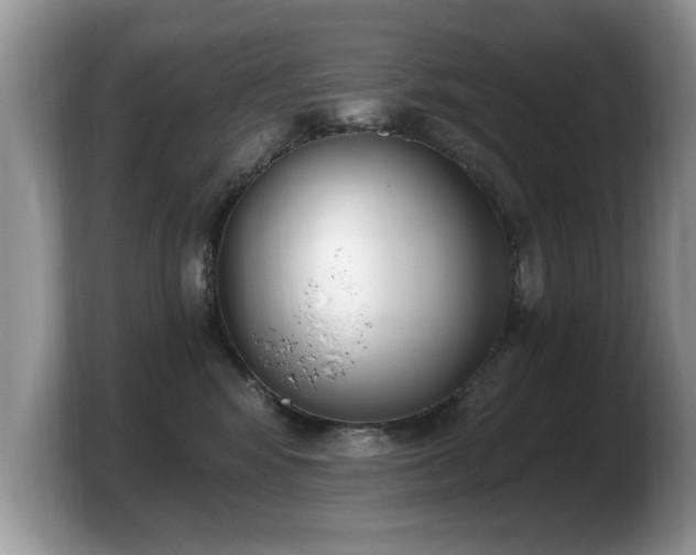 X0000103910424200809261614