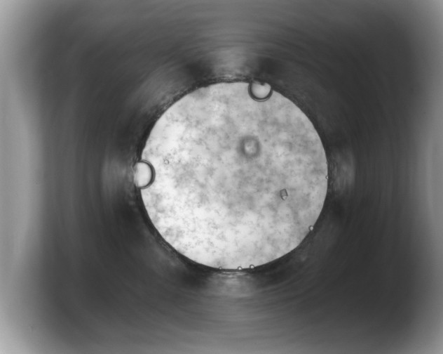 X0000103910427200809261614