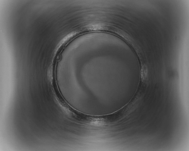 X0000103910438200809261613