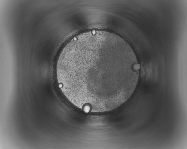 X0000103910444200809261613