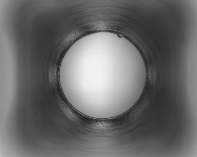 X0000103910445200809261613