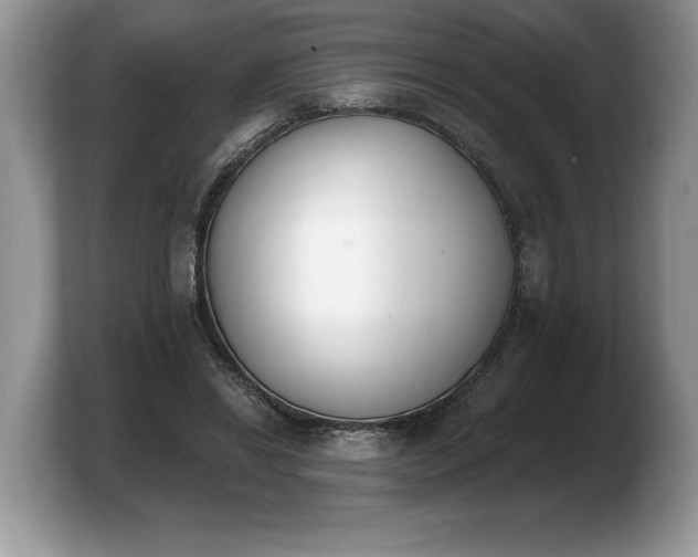 X0000103910446200809261613