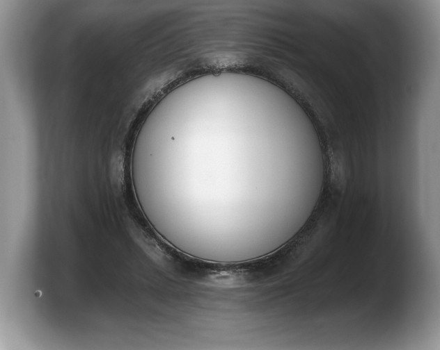 X0000103910447200809261613