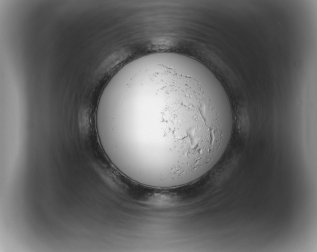 X0000103910455200809261613