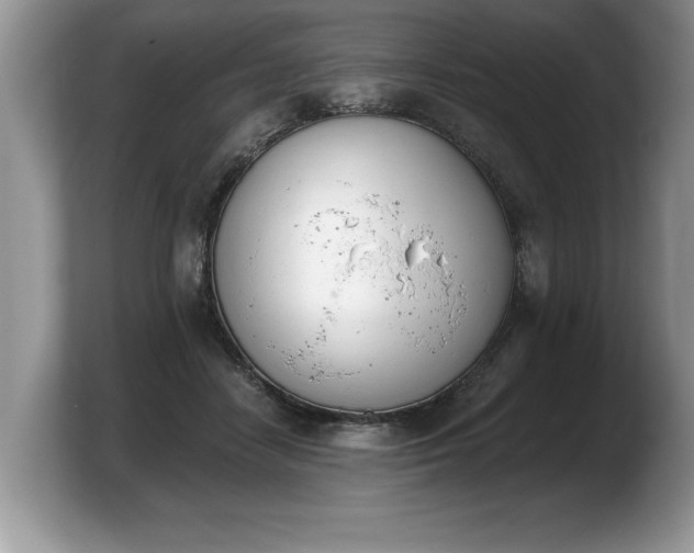 X0000103910458200809261613