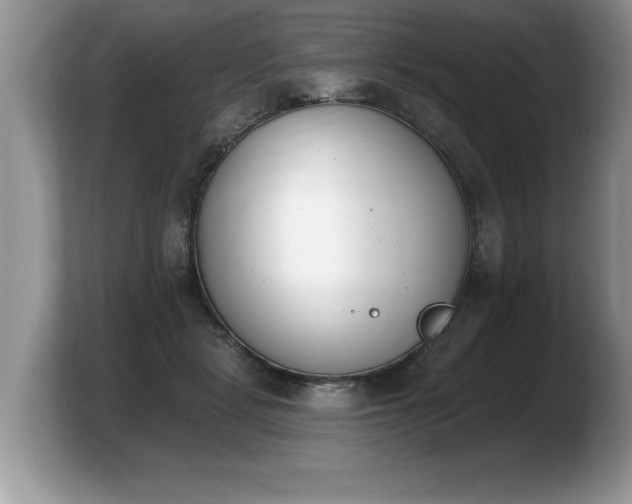 X0000103910461200809261613